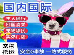 梅县机场物流国际宠物托运 【国